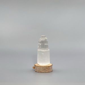 Selenite Skyscaper Tower & Tree Slice Base & Card